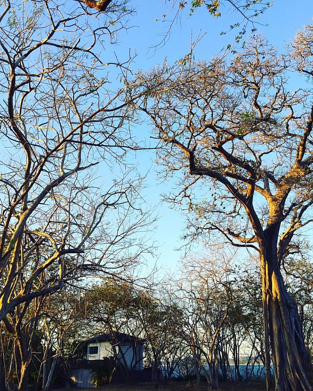 Ethir Villa